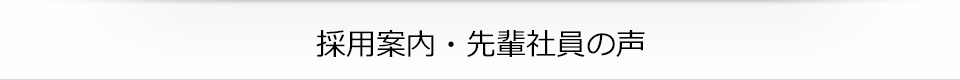 採用案内・先輩社員の声